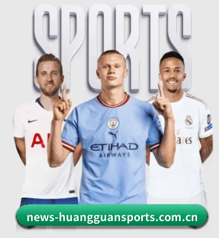 五大服务分区,信息按项目分类（CrownSports）